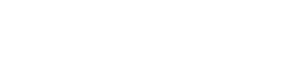 Travelnett
